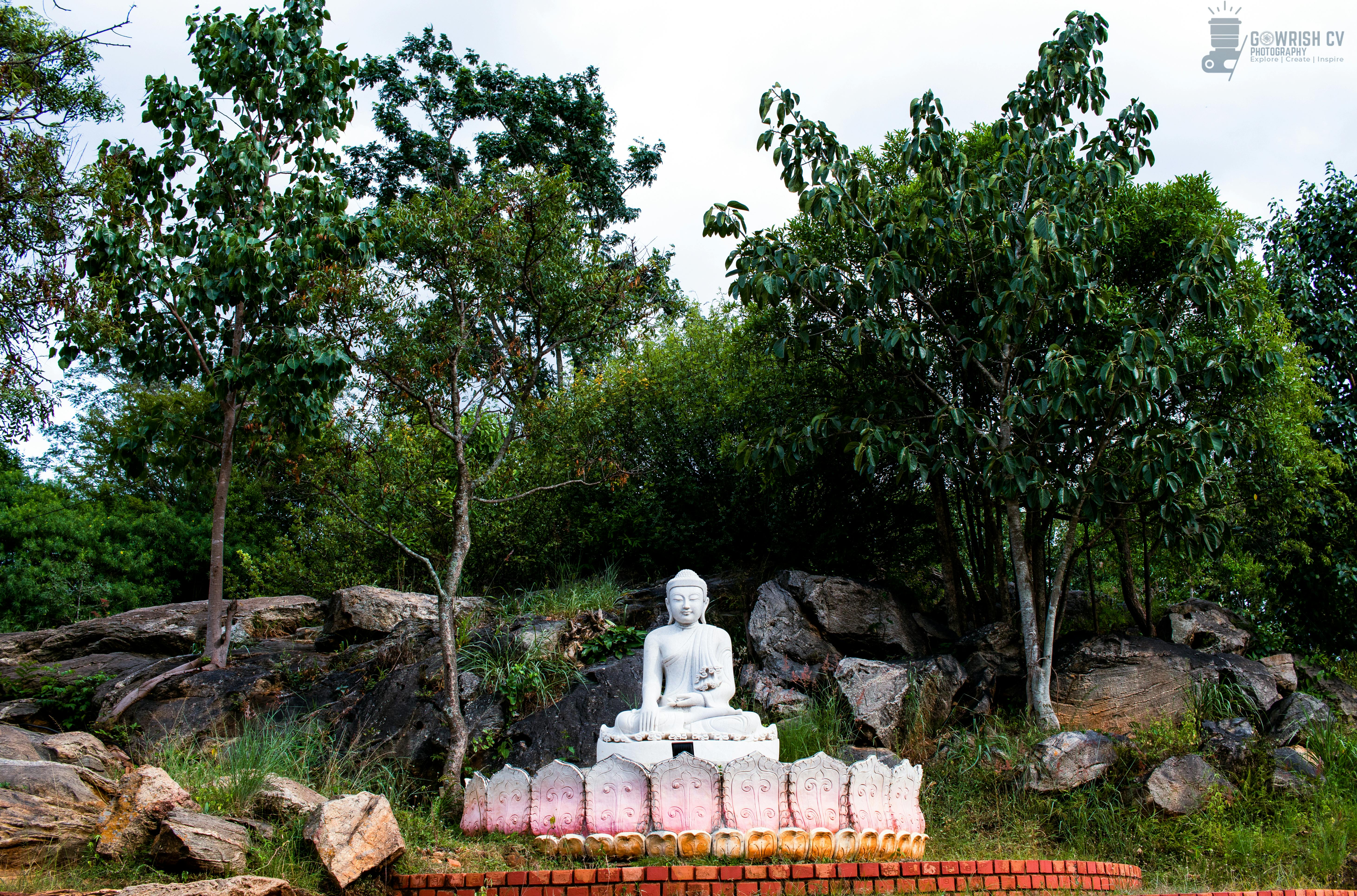 Free stock photo of gautama buddha, nature photography, spiritual