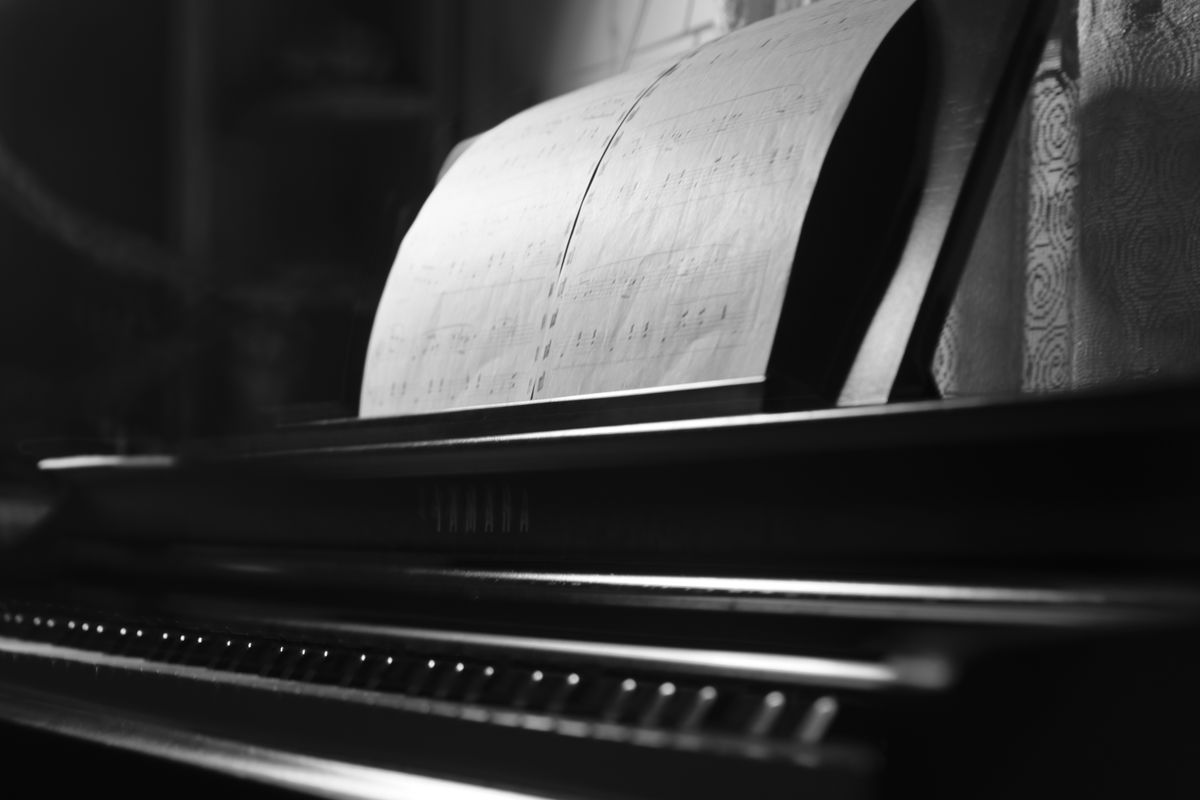 piano removals in Kerry — Piano Removals in Kerry — the working end of the job