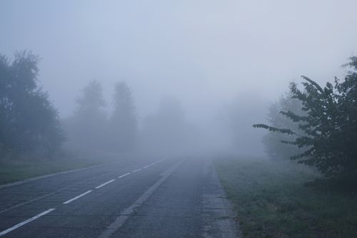 Free A tranquil rural road enveloped in dense fog during dawn, creating an atmospheric and serene landscape. Stock Photo