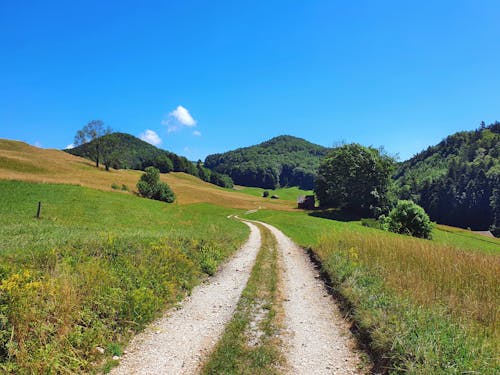 Dirt Road Between Green Grass Field Under Blue Sky