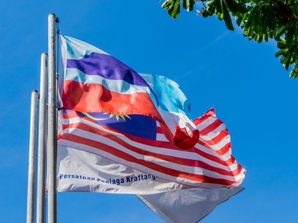 Sail Flags, image 5 of 6