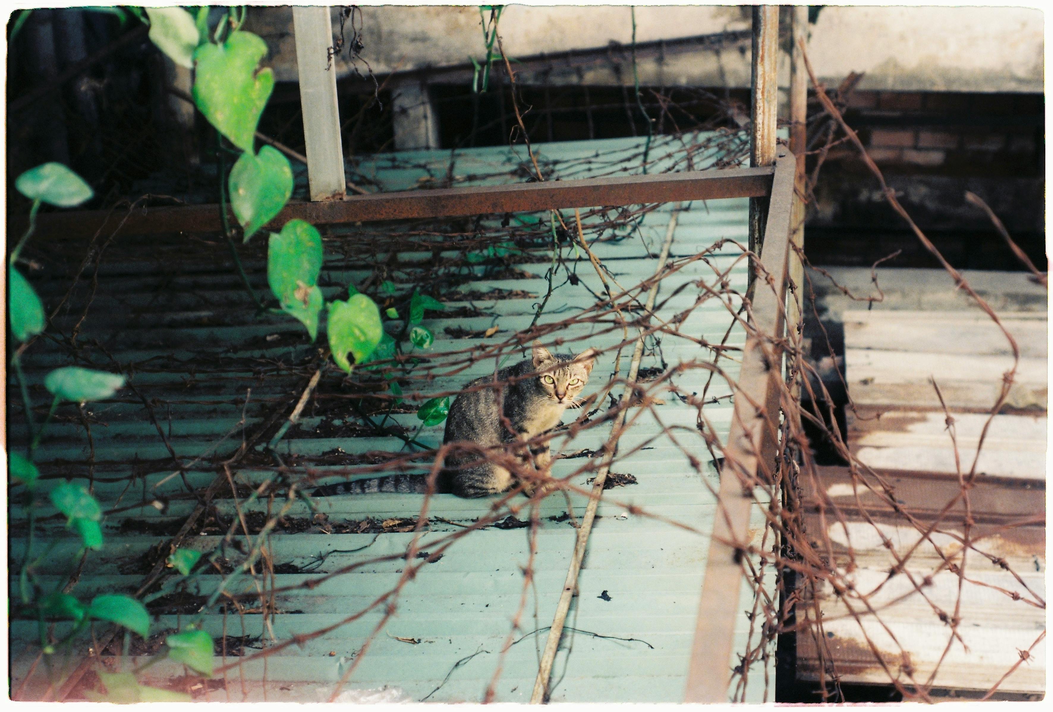 Photo by stayhereforu