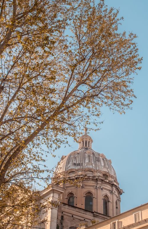 Free Elegant dome with autumn leaves against a clear sky in Rome, capturing classic architecture. Stock Photo