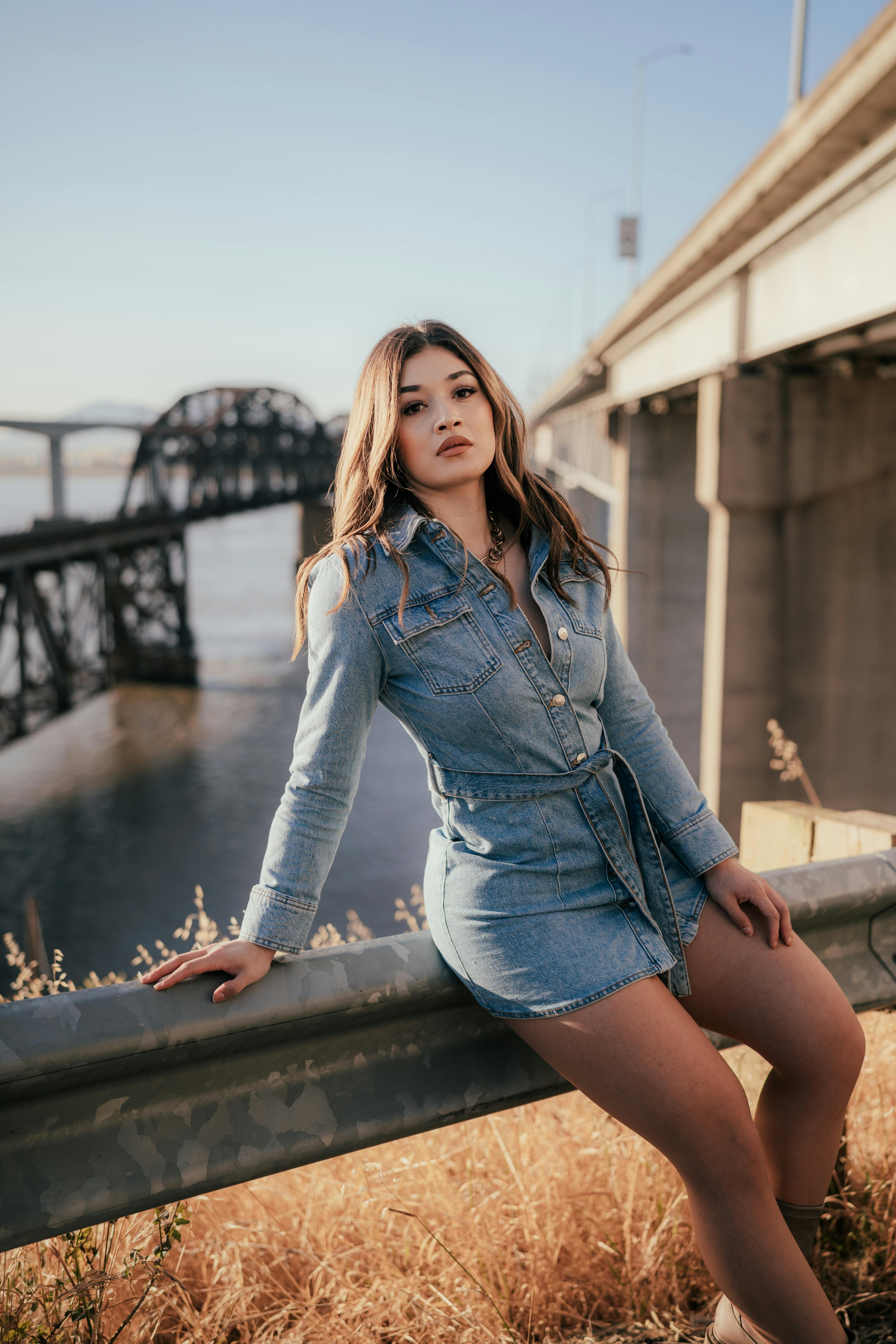 white christmas dresses The Picture Perfect Denim Mini Dress Large / Medium Wash main image 1