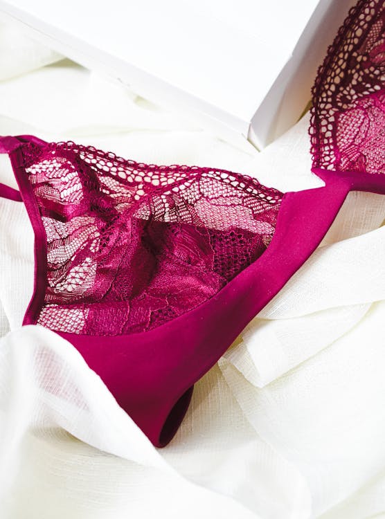 Close Up Photo of a Lace Brassiere · Free Stock Photo