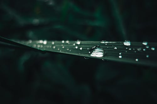 Water Drops on Slab