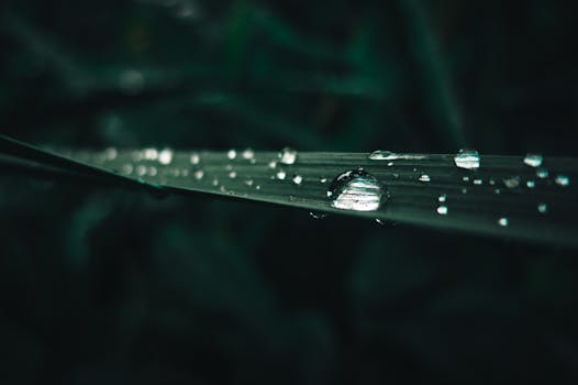Close-up macro shot of dew drops on a green blade of grass, highlighting natural beauty.