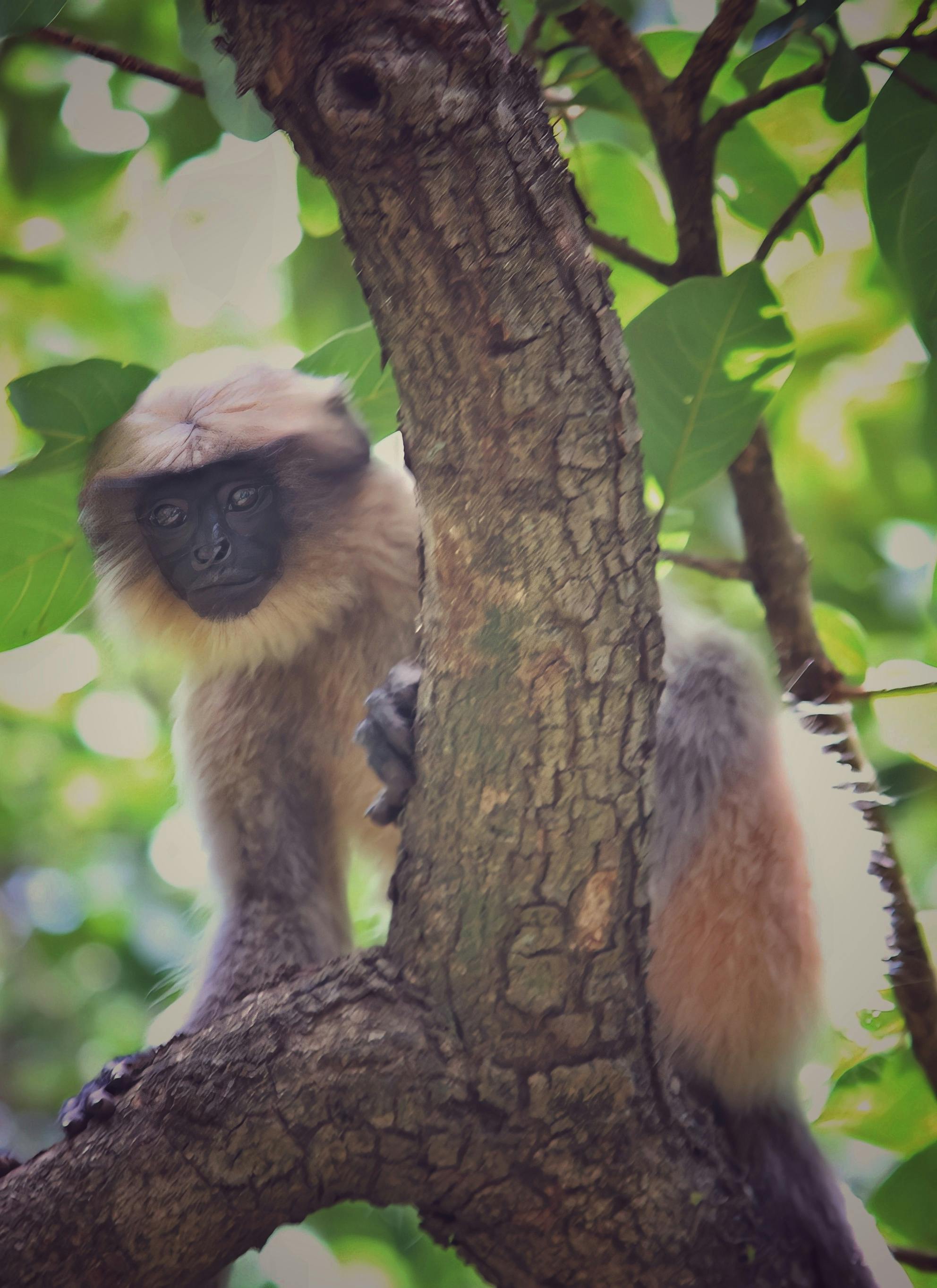 Prajyot Pradnyasagar 写真