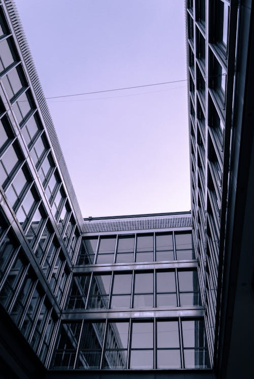 Low-Angle Shot of a Building