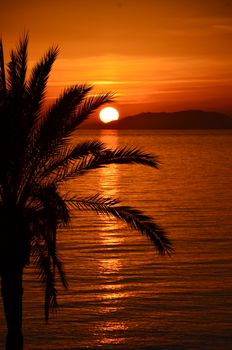 Captivating sunset at La Herradura beach with palm tree silhouette and vibrant orange sky reflecting on ocean water.