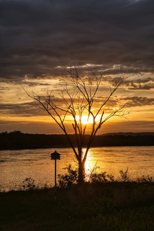 A Sunset by a Lake