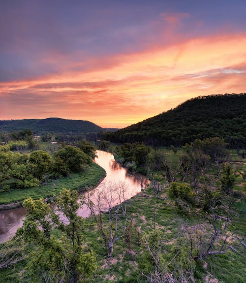 Trees near a Narrow River 