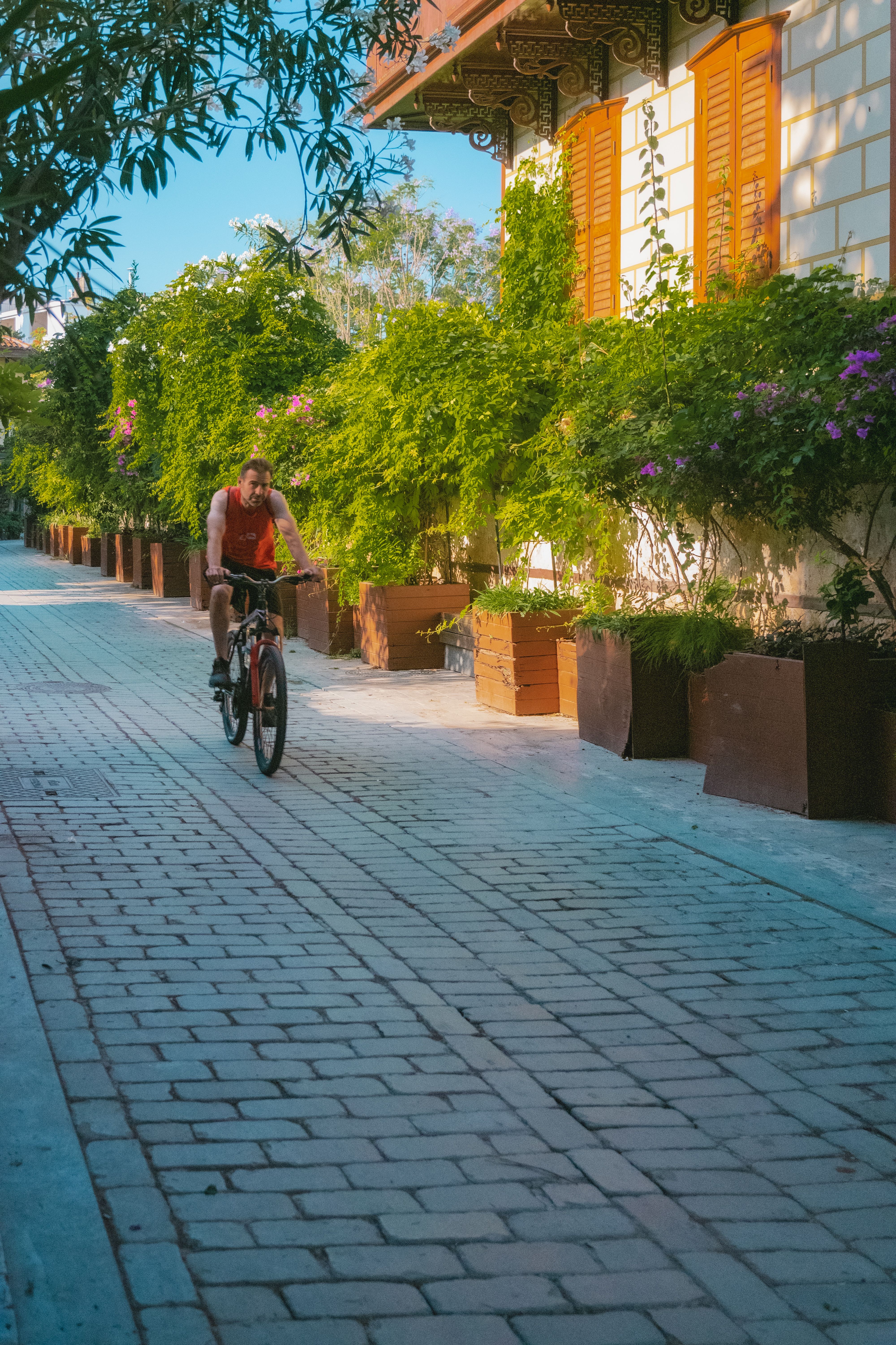 A Man Riding a Bicycle on a Brick Pavement · Free Stock Photo
