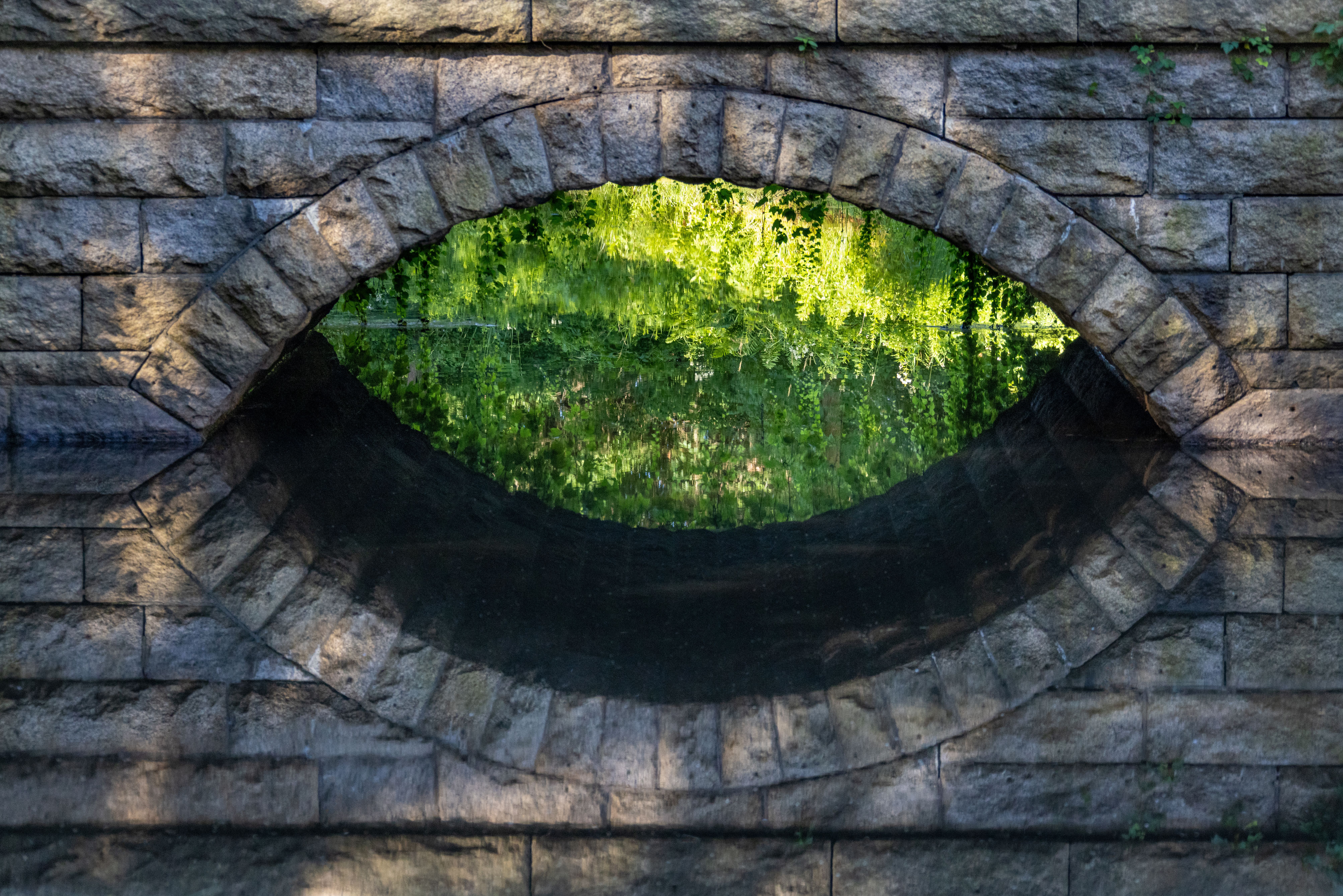 A serene reflection of lush greenery through a stone bridge's archway.