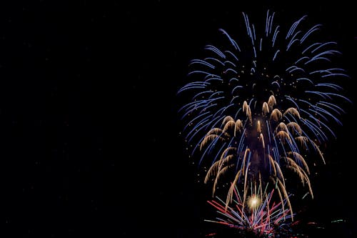 Fireworks Display in the Night Sky