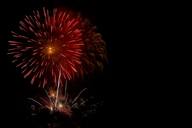 Fireworks Display During Night Time