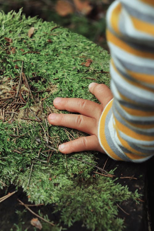 Closeup of a Baby Hand Touching Moss