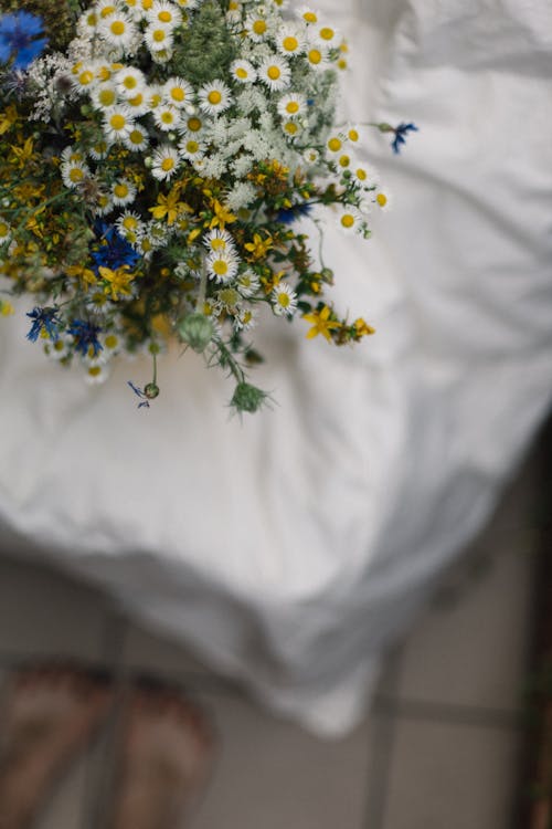 Gratis stockfoto met bed, blad, bloeiend Stockfoto
