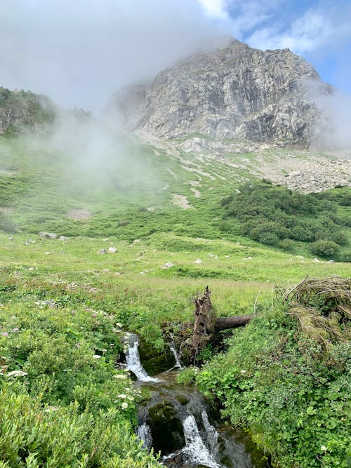 A Meadow in Mountains