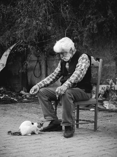 Portrait of a Man on Chair Outdoors Feeding a Cat