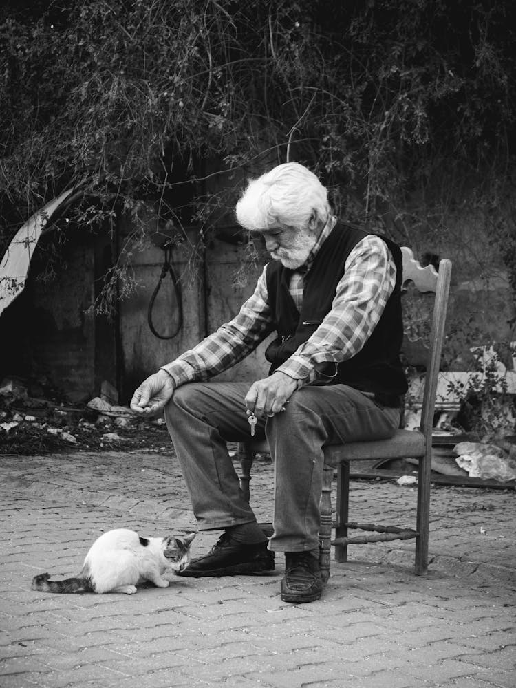 Portrait Of A Man On Chair Outdoors Feeding A Cat