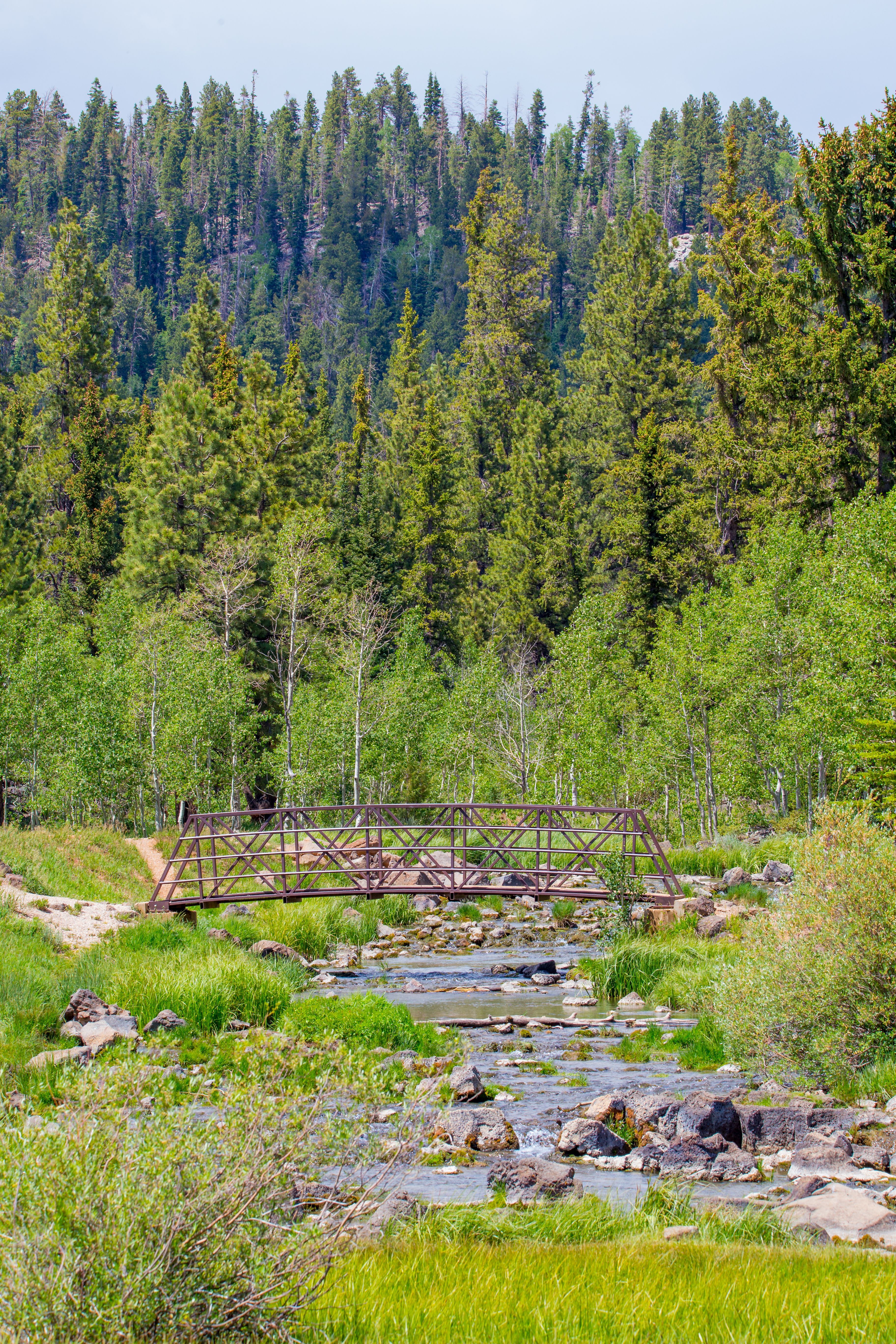 Brown Metal Bridge Over the River · Free Stock Photo