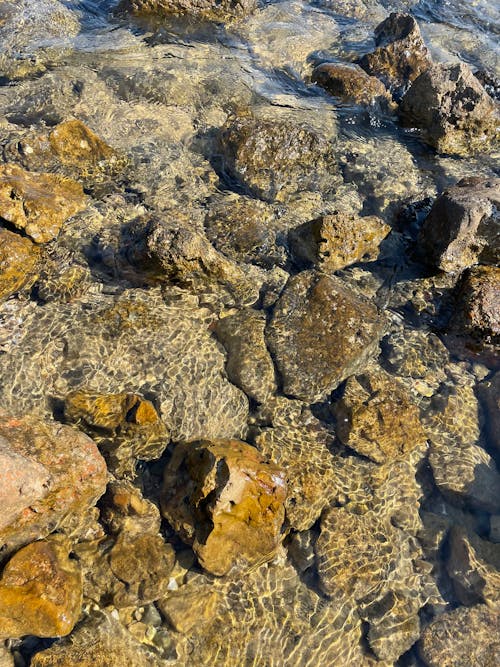 Fotos de stock gratuitas de de cerca, orilla de roca, playa