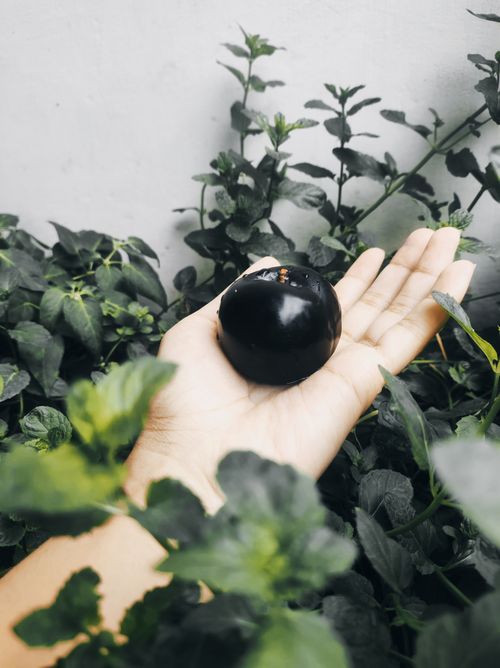 Free stock photo of care, citrus fruit, cute Stock Photo