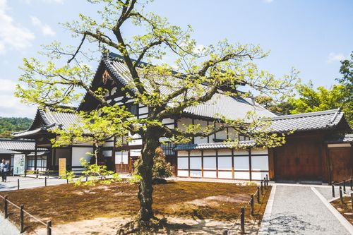 Free A serene traditional Japanese temple surrounded by blossoming trees, capturing cultural architecture. Stock Photo