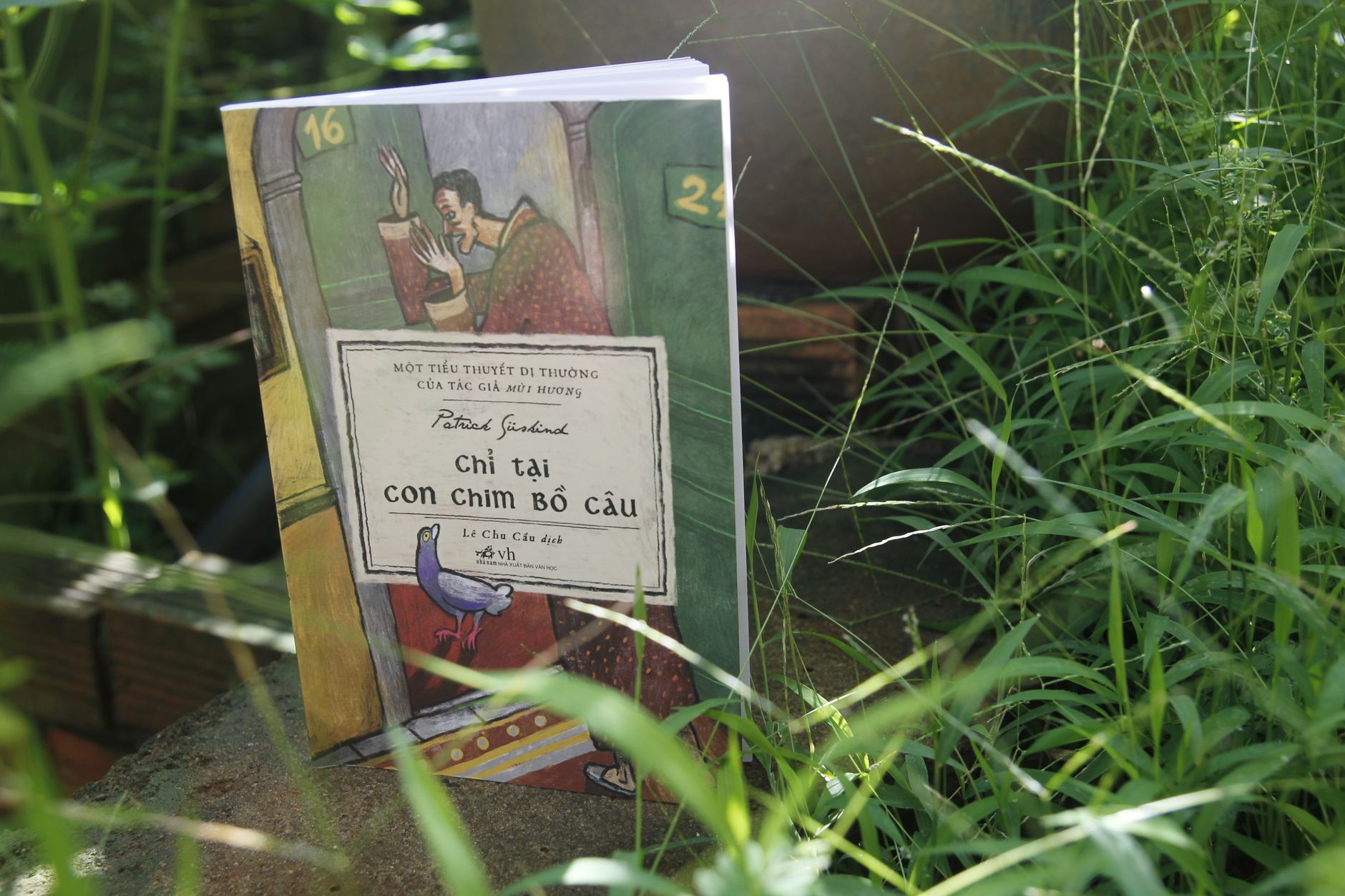 A book stands amidst lush green grass, beautifully lit by sunlight.