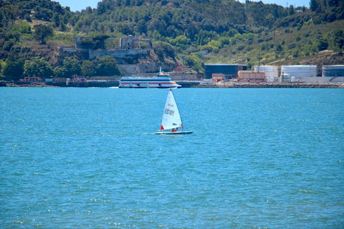 Free White Sailboat on Sea Stock Photo