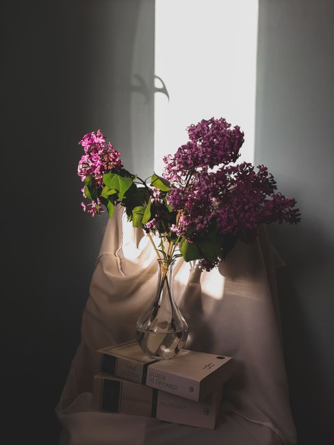 A serene still life with purple lilacs in a glass vase on books, bathed in soft light.