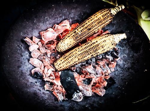 Free stock photo of charcoal, corn, cuisine