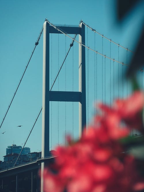 Shot of Bridge With Defocused Flowers in View
