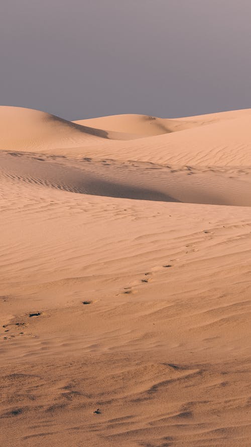 Ingyenes stockfotó függőleges lövés, homokdűnék, sivatag témában