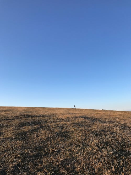 Free Person Standing on Brown Grass Field Under Blue Sky Stock Photo