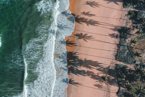 Sea Foam and Palm Tree Shadows Casted on a Sand Beach