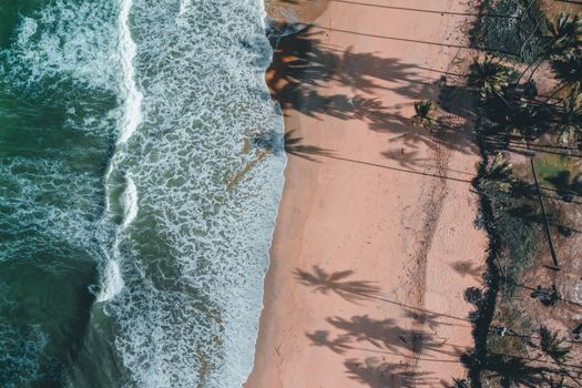 Stunning aerial shot of a tropical beach with crashing waves and palm tree shadows on the sand.