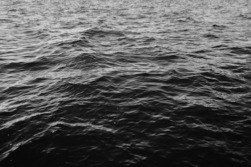 Grayscale Photo of Ocean Water