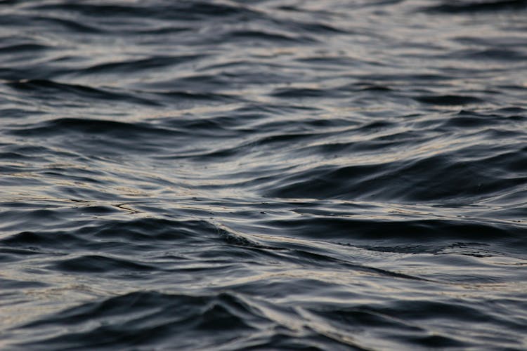 Close Shot Of Water Surface