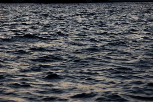 Free Close-up of ocean waves at twilight, showcasing natural beauty and rippling textures. Stock Photo