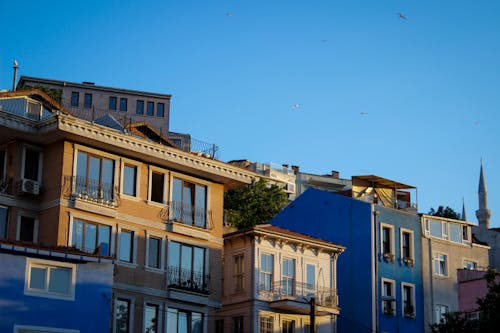 Birds Flying over Buildings in Town