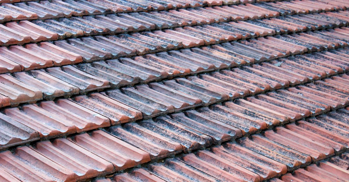 A close-up view of weathered clay roof tiles, showcasing texture and patterns.
