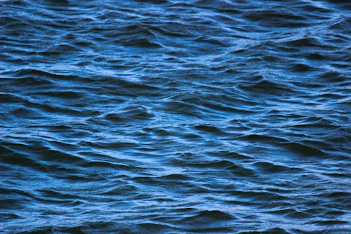 Immagine gratuita di acqua, increspare, mare