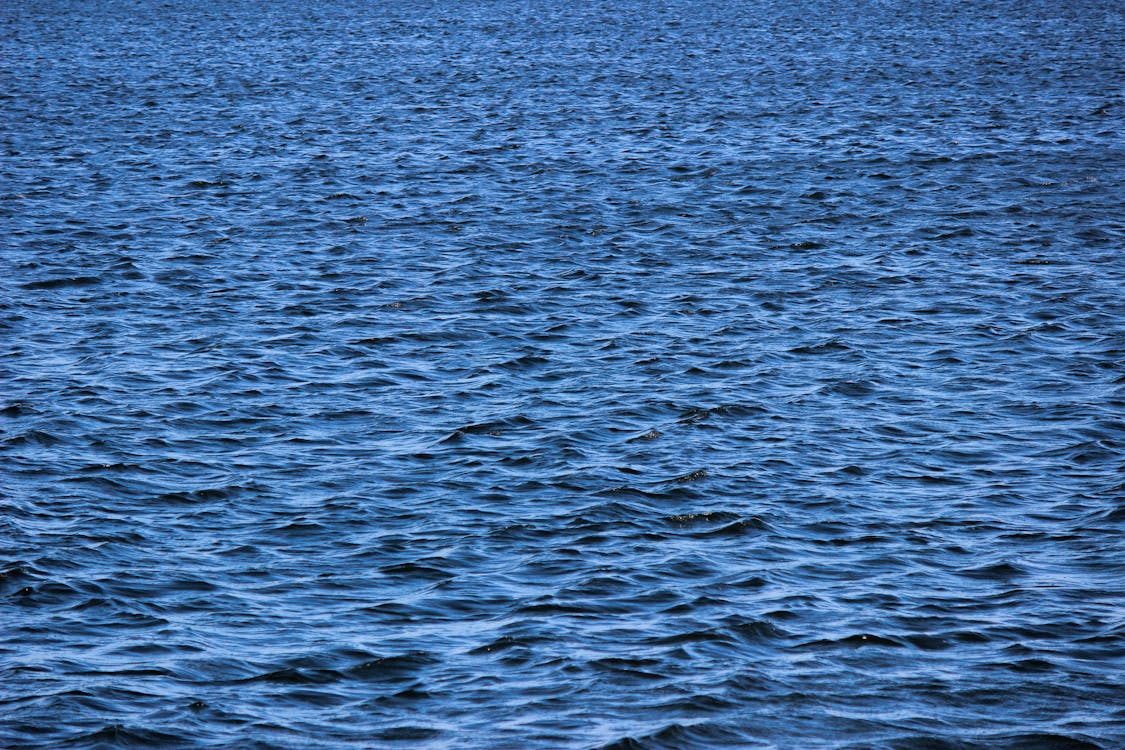 Rippled Sea Surface