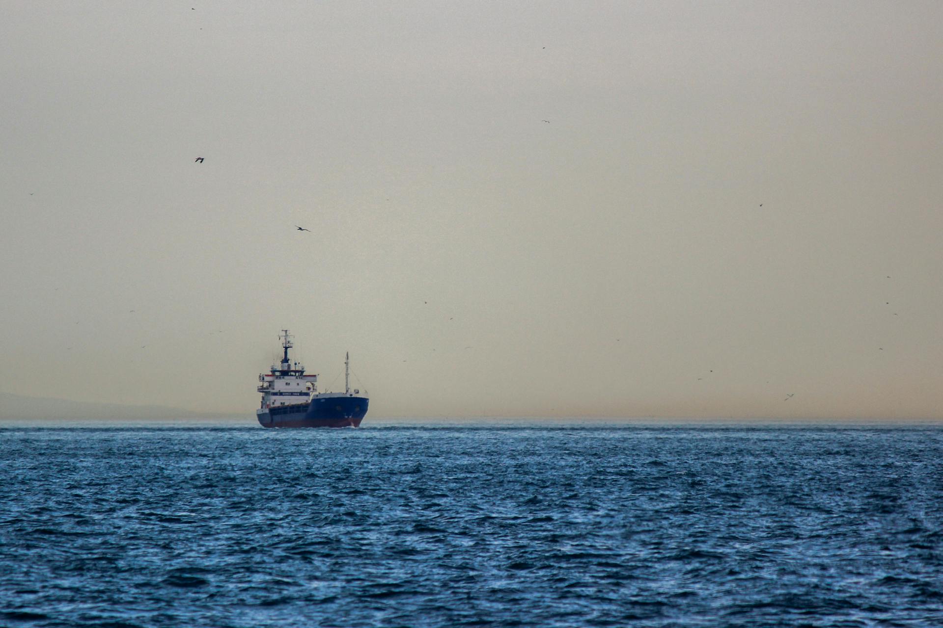 A large cargo ship sails across a calm sea under a gray sky, symbolizing international trade.