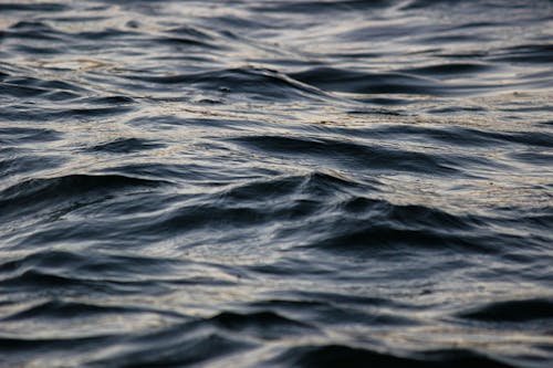 Foto stok gratis cair, gelombang, laut