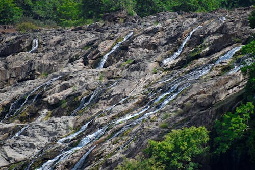 Water Flowing Down the Rocky Surface with Bushes on the Sides 