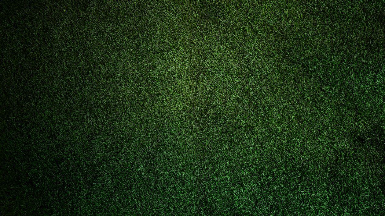 Ground Background Color Dark Green Ground Texture at Leonard Kaminski blog