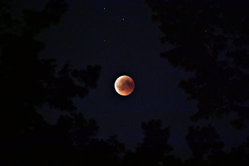 Selective Color Photography of Blood Moon